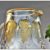 Pichet broc à eau en cristal de Baccarat modèle service Harcourt décor Empire, Baccarat crystal pitcher
