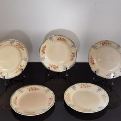 set de 5 assiettes